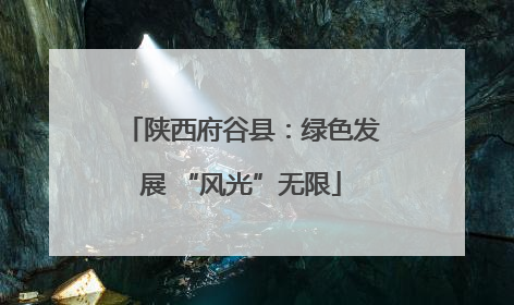 陕西府谷县：绿色发展 “风光”无限