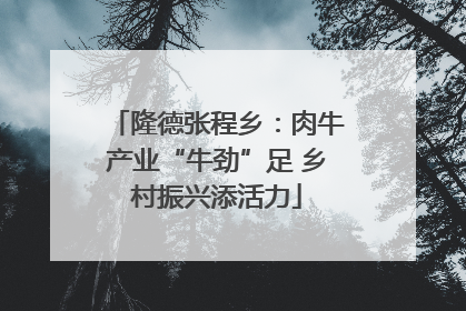 隆德张程乡：肉牛产业“牛劲”足 乡村振兴添活力