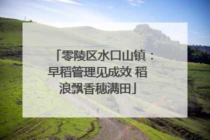 零陵区水口山镇：早稻管理见成效 稻浪飘香穗满田