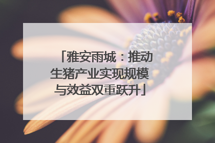 雅安雨城：推动生猪产业实现规模与效益双重跃升