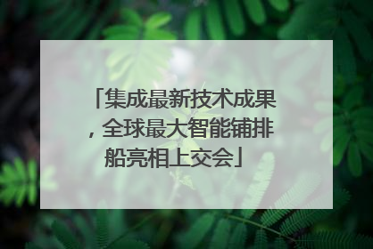 集成最新技术成果，全球最大智能铺排船亮相上交会