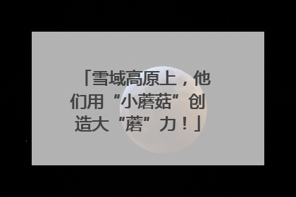 雪域高原上，他们用“小蘑菇”创造大“蘑”力！