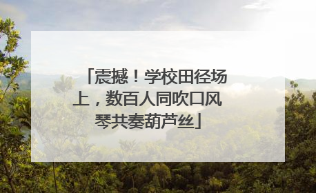 震撼！学校田径场上，数百人同吹口风琴共奏葫芦丝