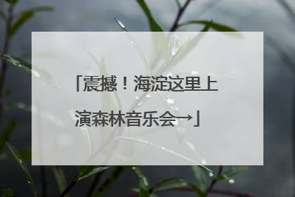 震撼！海淀这里上演森林音乐会→