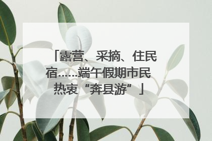 露营、采摘、住民宿……端午假期市民热衷“奔县游”