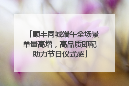 顺丰同城端午全场景单量高增，高品质即配助力节日仪式感