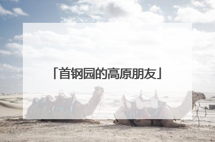 首钢园的高原朋友