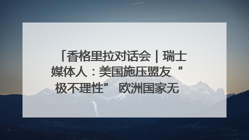 香格里拉对话会｜瑞士媒体人：美国施压盟友“极不理性” 欧洲国家无意与中国“脱钩断链”