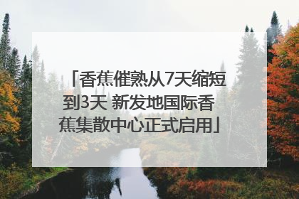 香蕉催熟从7天缩短到3天 新发地国际香蕉集散中心正式启用