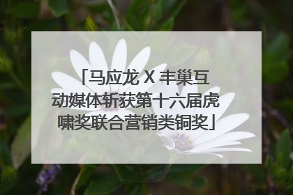 马应龙 X 丰巢互动媒体斩获第十六届虎啸奖联合营销类铜奖