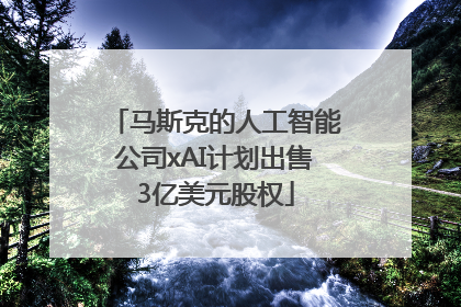 马斯克的人工智能公司xAI计划出售3亿美元股权
