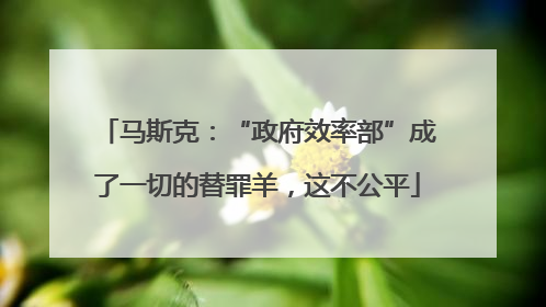 马斯克：“政府效率部”成了一切的替罪羊，这不公平