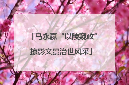 马永嬴“以陵窥政” 掠影文景治世风采