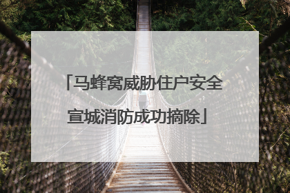 马蜂窝威胁住户安全 宣城消防成功摘除