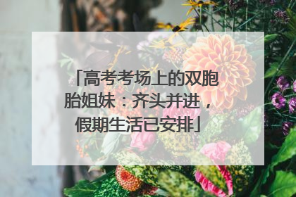 高考考场上的双胞胎姐妹：齐头并进，假期生活已安排