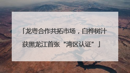 龙粤合作共拓市场，白桦树汁获黑龙江首张“湾区认证”