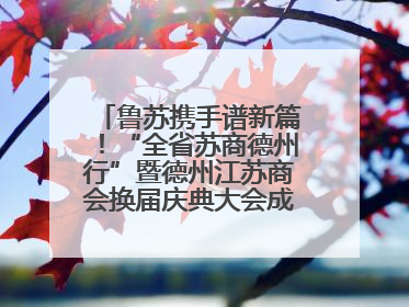 鲁苏携手谱新篇！“全省苏商德州行”暨德州江苏商会换届庆典大会成功举办