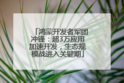 鸿蒙开发者军团冲锋：超3万应用加速开发，生态规模战进入关键期