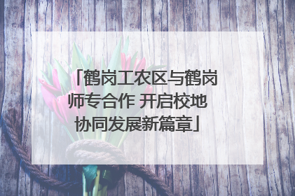 鹤岗工农区与鹤岗师专合作 开启校地协同发展新篇章