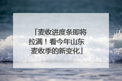 麦收进度条即将拉满！看今年山东麦收季的新变化