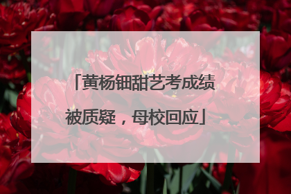 黄杨钿甜艺考成绩被质疑，母校回应
