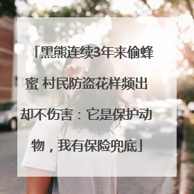黑熊连续3年来偷蜂蜜 村民防盗花样频出却不伤害：它是保护动物，我有保险兜底