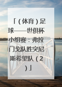 （体育）足球——世俱杯小组赛：弗拉门戈队胜突尼斯希望队（2）