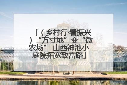 （乡村行·看振兴）“方寸地”变“微农场” 山西神池小庭院拓宽致富路