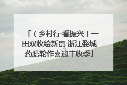 （乡村行·看振兴）一田双收绘新景 浙江婺城药膳轮作喜迎丰收季