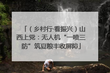 （乡村行·看振兴）山西上党：无人机“一喷三防”筑夏粮丰收屏障