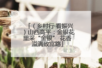 （乡村行·看振兴）山西高平：金银花里采“金银” 花香溢满致富路