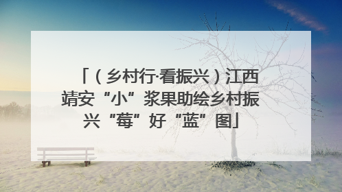 （乡村行·看振兴）江西靖安“小”浆果助绘乡村振兴“莓”好“蓝”图