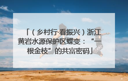 （乡村行·看振兴）浙江黄岩水源保护区蝶变：“一根金枝”的共富密码