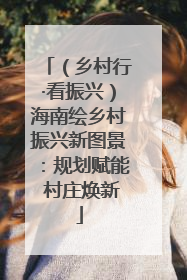 （乡村行·看振兴）海南绘乡村振兴新图景：规划赋能 村庄焕新
