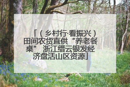 （乡村行·看振兴）田间农货直供“养老餐桌” 浙江缙云银发经济盘活山区资源