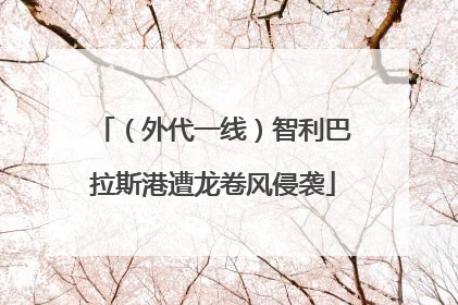 （外代一线）智利巴拉斯港遭龙卷风侵袭