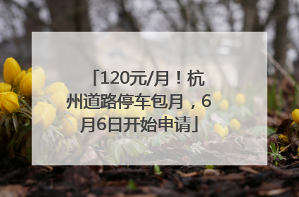 120元/月！杭州道路停车包月，6月6日开始申请