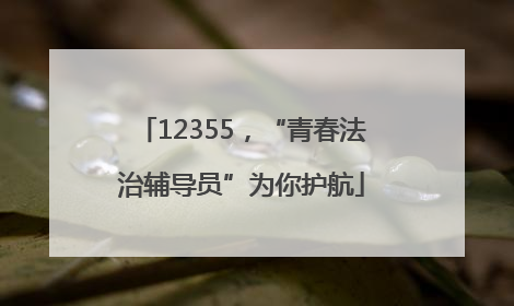 12355，“青春法治辅导员”为你护航