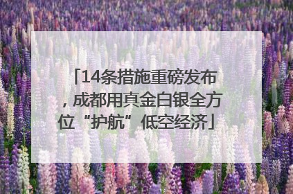 14条措施重磅发布，成都用真金白银全方位“护航”低空经济