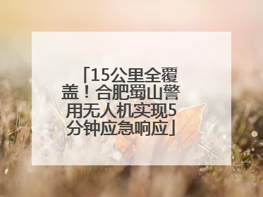 15公里全覆盖！合肥蜀山警用无人机实现5分钟应急响应