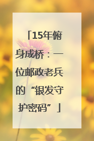 15年俯身成桥：一位邮政老兵的“银发守护密码”