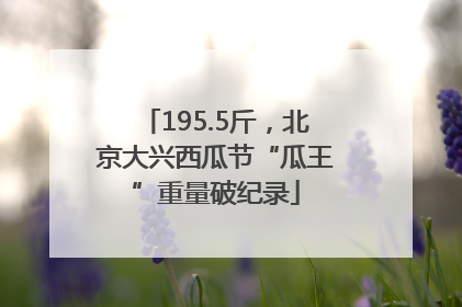 195.5斤，北京大兴西瓜节“瓜王”重量破纪录