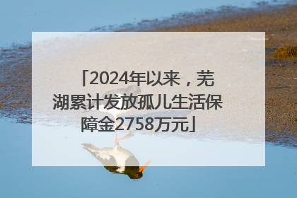 2024年以来，芜湖累计发放孤儿生活保障金2758万元