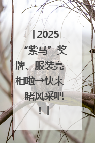2025“紫马”奖牌、服装亮相啦→快来一睹风采吧！