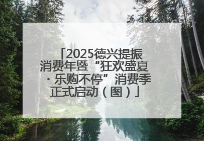 2025德兴提振消费年暨“狂欢盛夏・乐购不停”消费季正式启动（图）