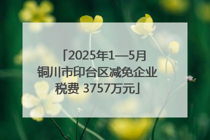 2025年1—5月铜川市印台区减免企业税费 3757万元