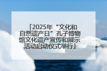 2025年“文化和自然遗产日”孔子博物馆文化遗产宣传和展示活动启动仪式举行