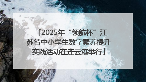 2025年“领航杯”江苏省中小学生数字素养提升实践活动在连云港举行