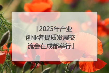 2025年产业创业者提质发展交流会在成都举行