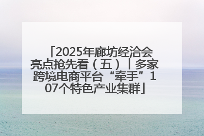 2025年廊坊经洽会亮点抢先看（五）丨多家跨境电商平台“牵手”107个特色产业集群